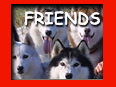 FRIENDS